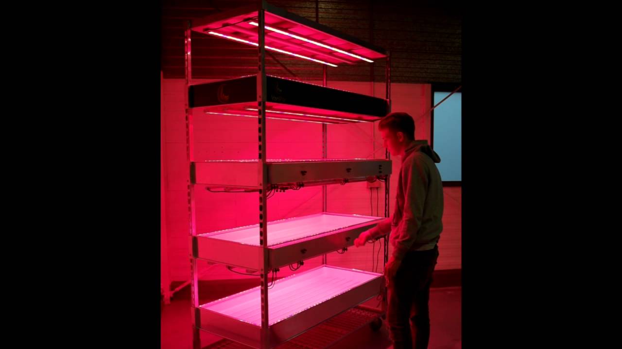 GrowRack RBFC - Red, Blue, Far Red Controlled Dimming per Layer