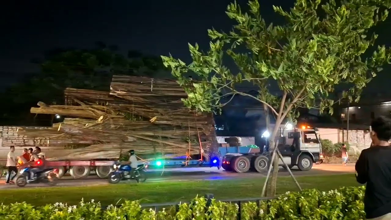 PEMINDAHAN POHON BERINGIN YANG BERUMUR RATUSAN TAHUN!!  😱 