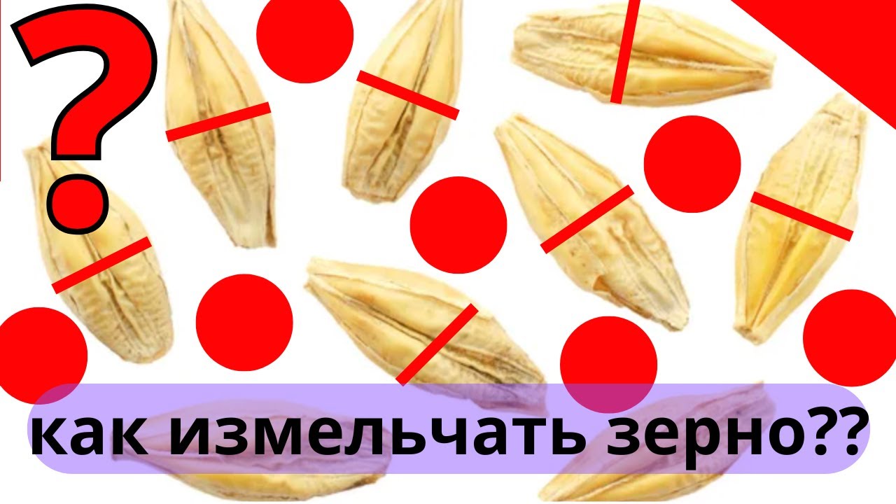Как правильно измельчать зерно для комбикорма?