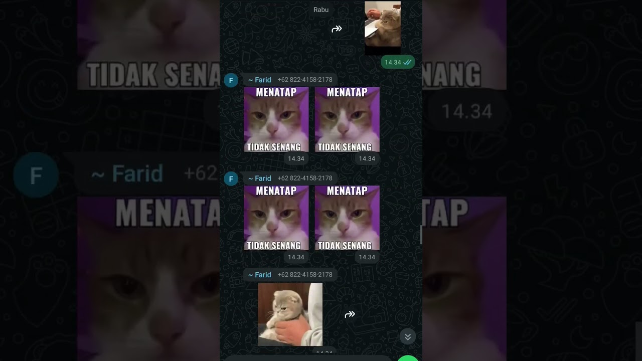 temenku ngirimin video zenitsu mode serius 😱😱