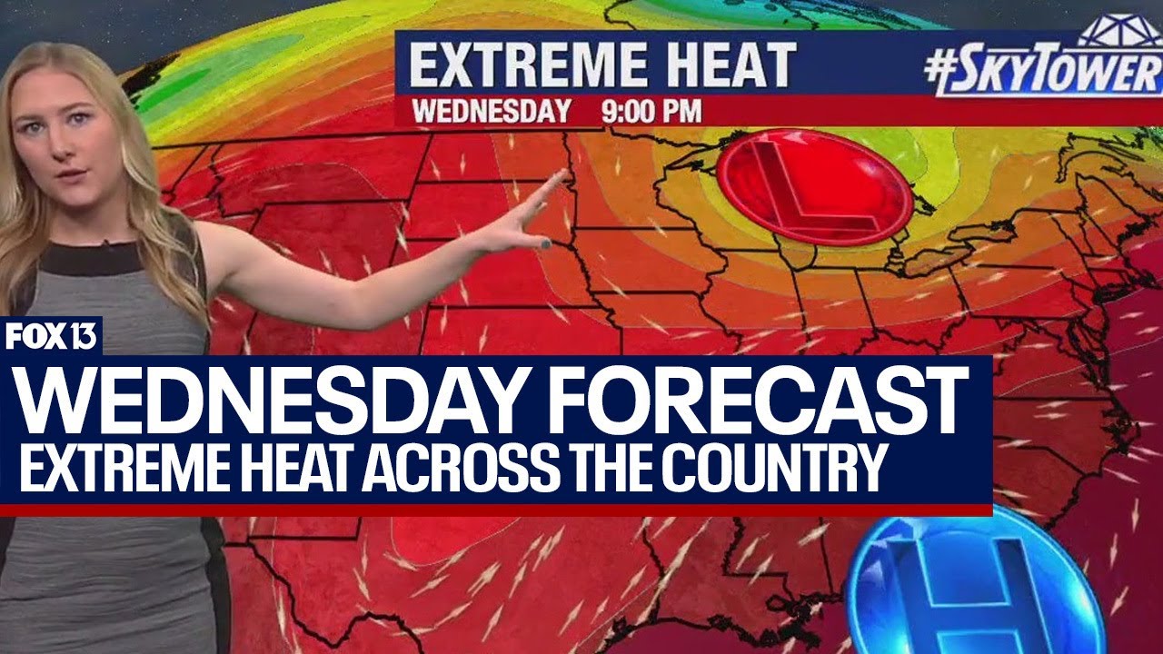 Tampa weather July 24, 2024 | recapping hottest day on record