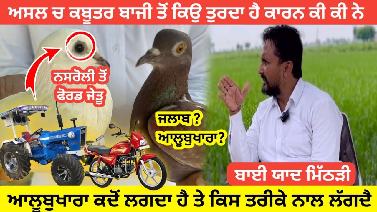 ਪਰਦਾ ਕੀ ਐ ਖੇਡ ਦਾ ਬਾਈ ? ਜੋ ਆਪਾ ਨੂੰ ਆਉਂਦਾ ਦੱਸ ਦਿੰਨੇ ਐ ਜਿੱਤਣਾ ਤਾ ਮਿਹਨਤ ਤੇ ਕਿਸਮਤ ਨੇ ਐ #starkabutarbaaz
