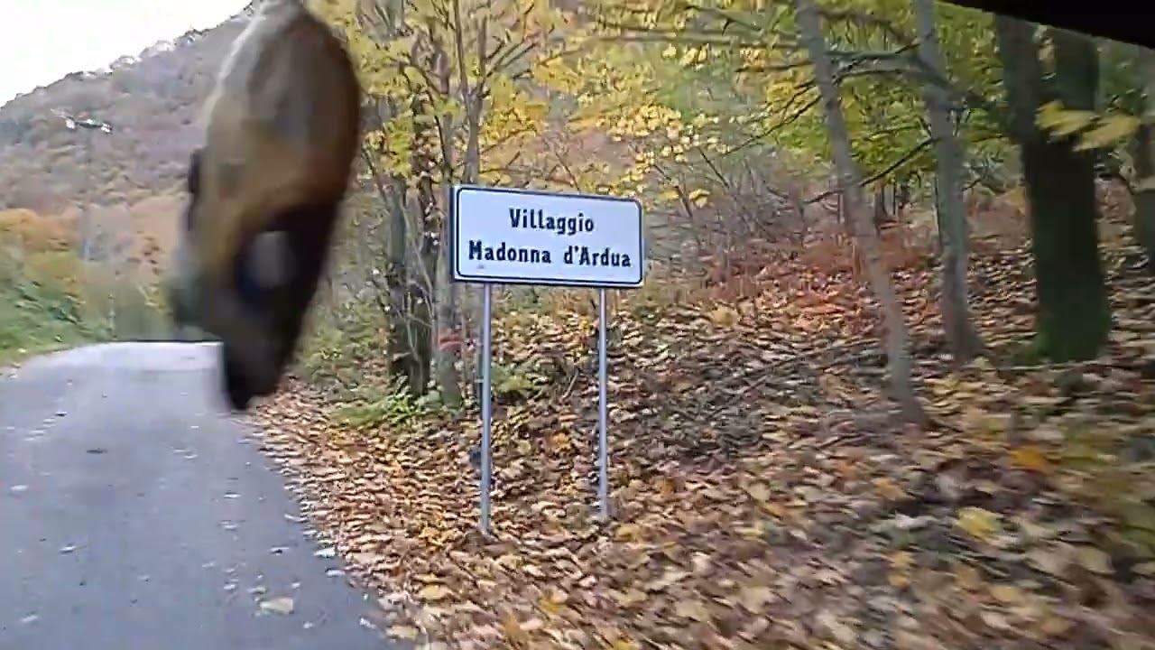 Parco Naturale Alta Valle Pesio (casa mia)