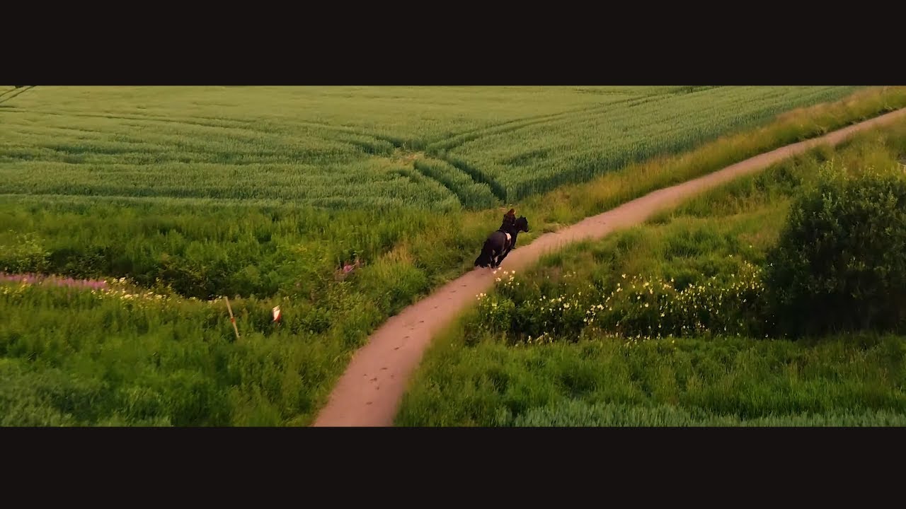 Horse Galloping  - Cinematic drone short film.