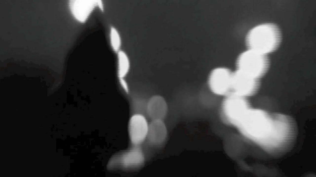 [3DM] Benjamin A.D - Part Of The Plan *OFFICIAL VIDEO*