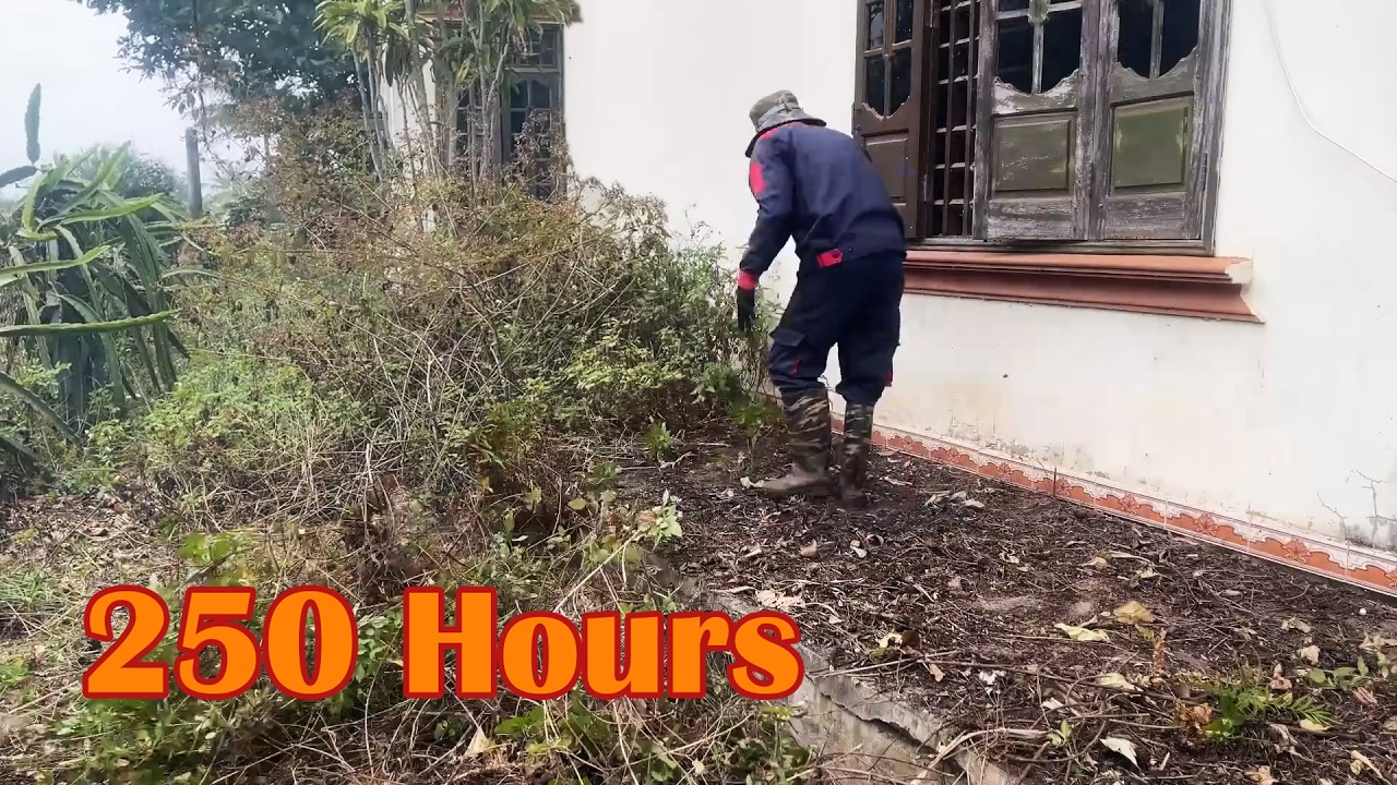 10 Days, 250 Hours of Unbelievable Transformation of Dead and Overgrown Old Houses