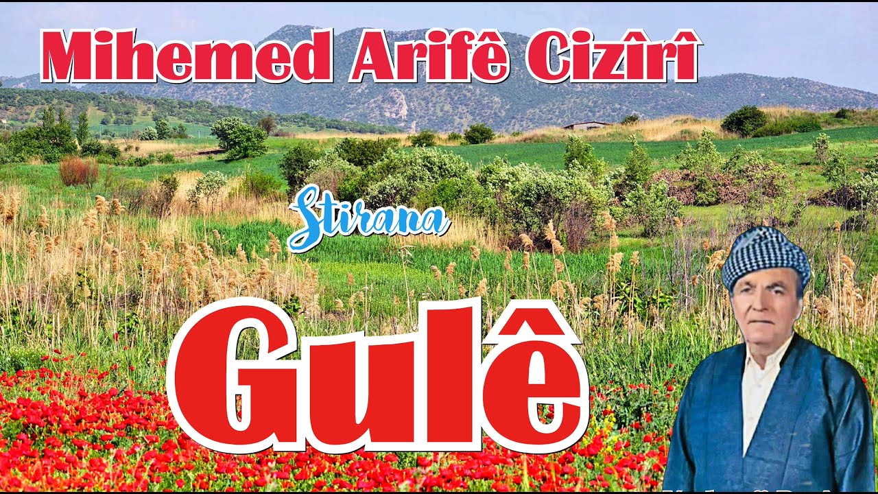 Mihemed Arifê Cizîrî Stirana Gulê  (4K Nü)