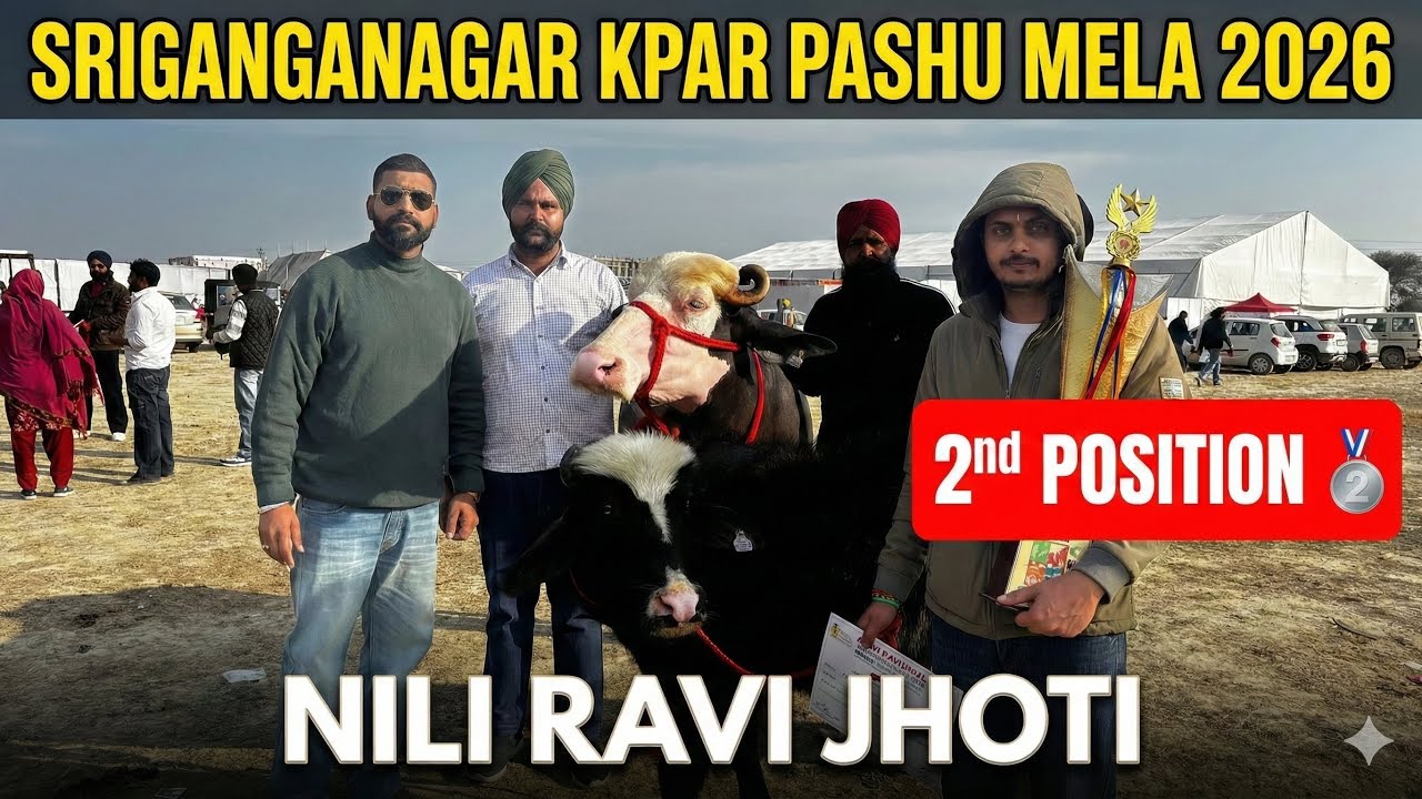 Sri Ganganagar Mele mein Lath Gaad Diye! 🥈 Nili Ravi Jhoti ka 2nd Prize 🏆