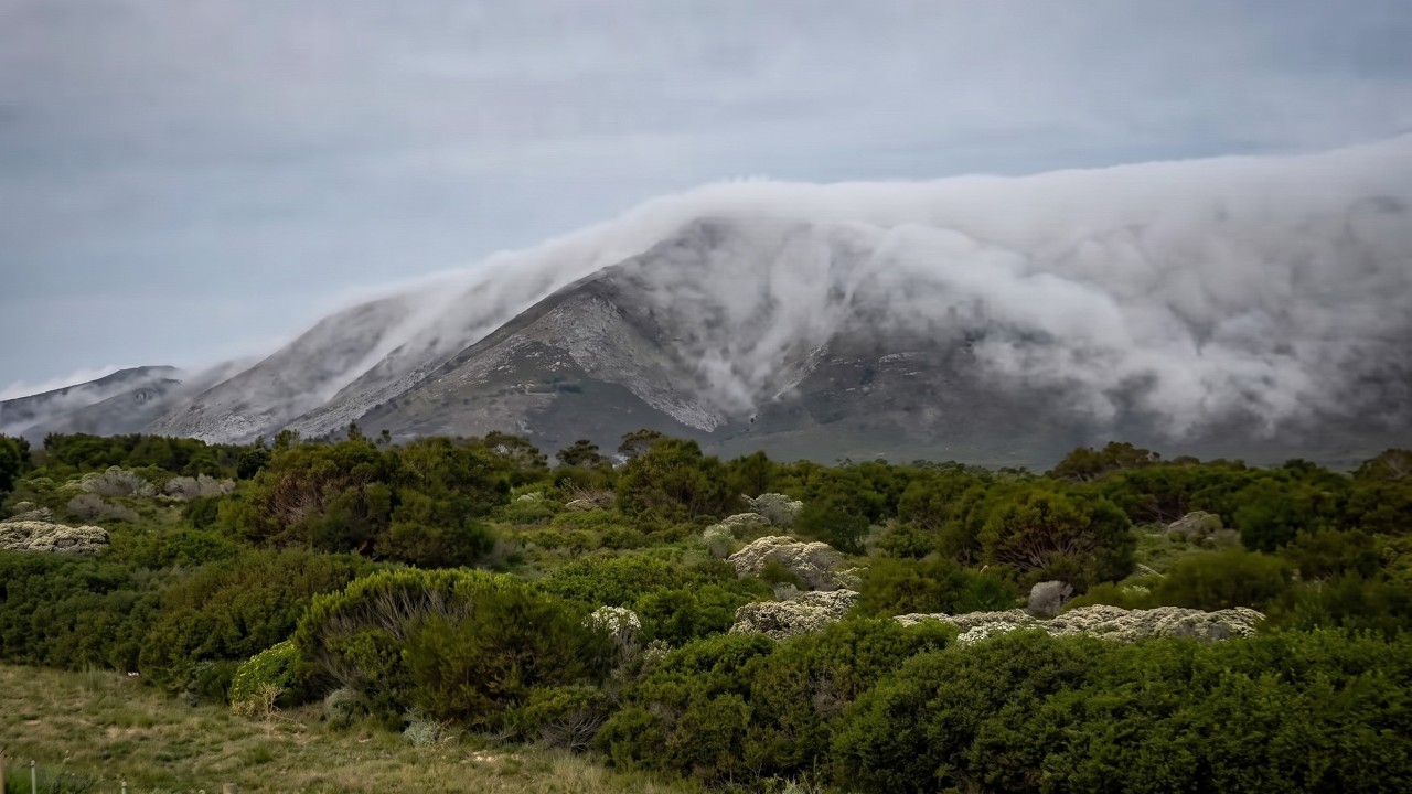 South Africa Today on 4 August 2026