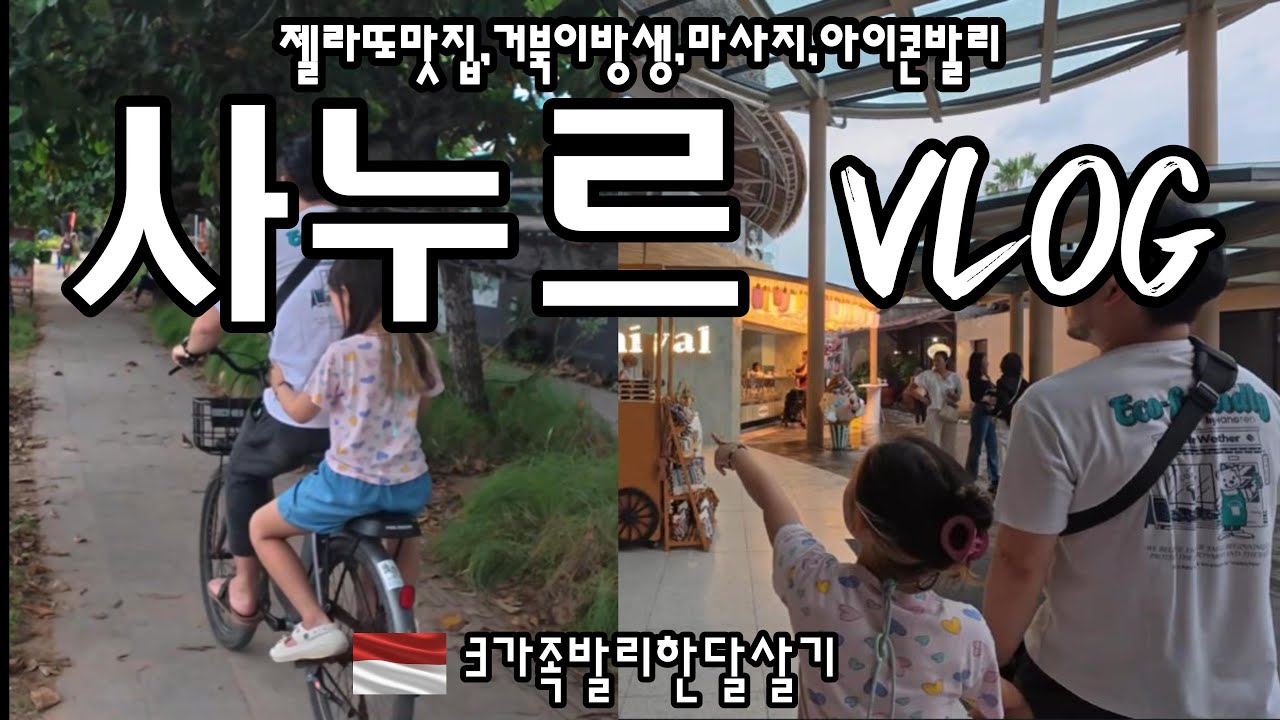 발리사누르의모든것,거북이방생정보,마시모젤라또,가성비마사지,아이콘발리전통의상공연