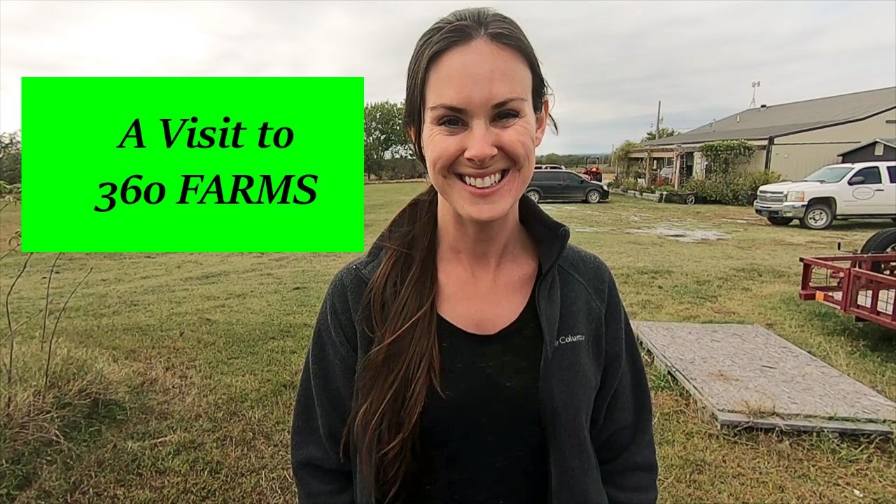 Elderberry Farm Tour | 360 Farms