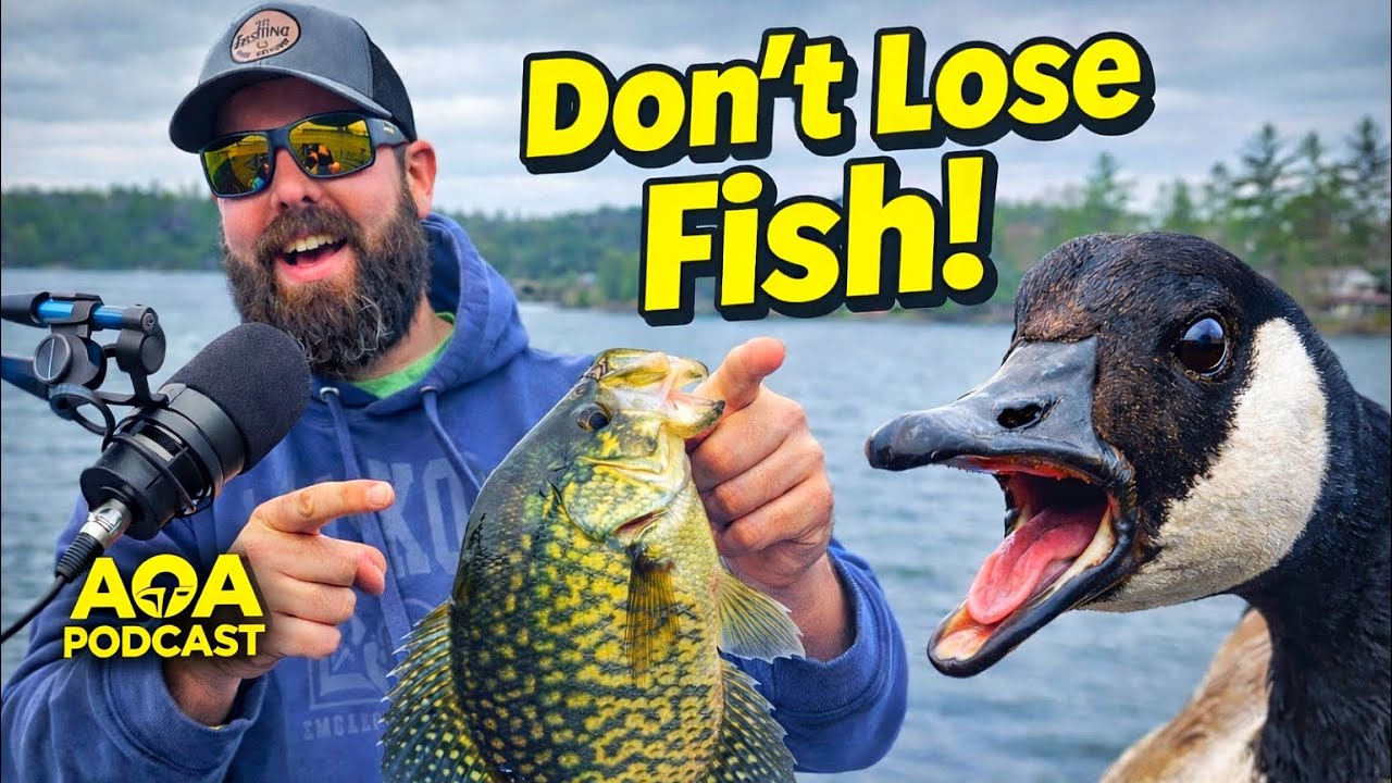 Stop Losing Fish! Mistakes Anglers Make 