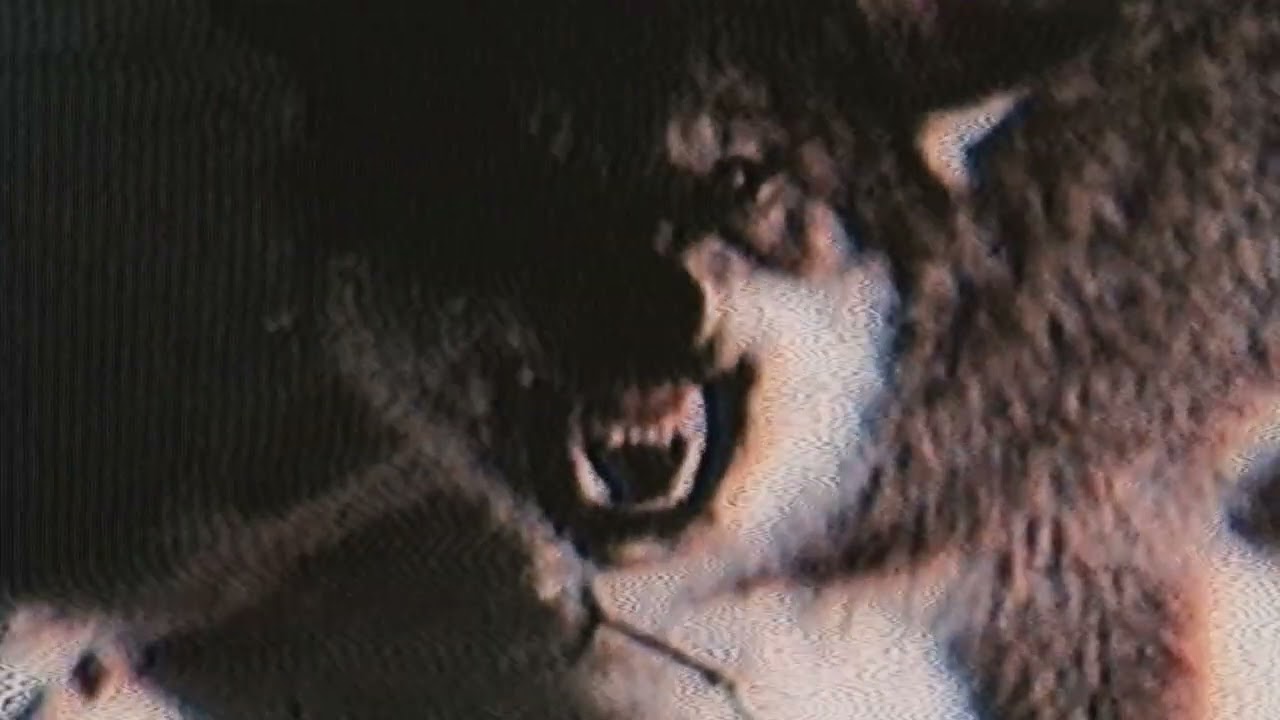 Billy Talent | Cut The Curtains (Slowed)