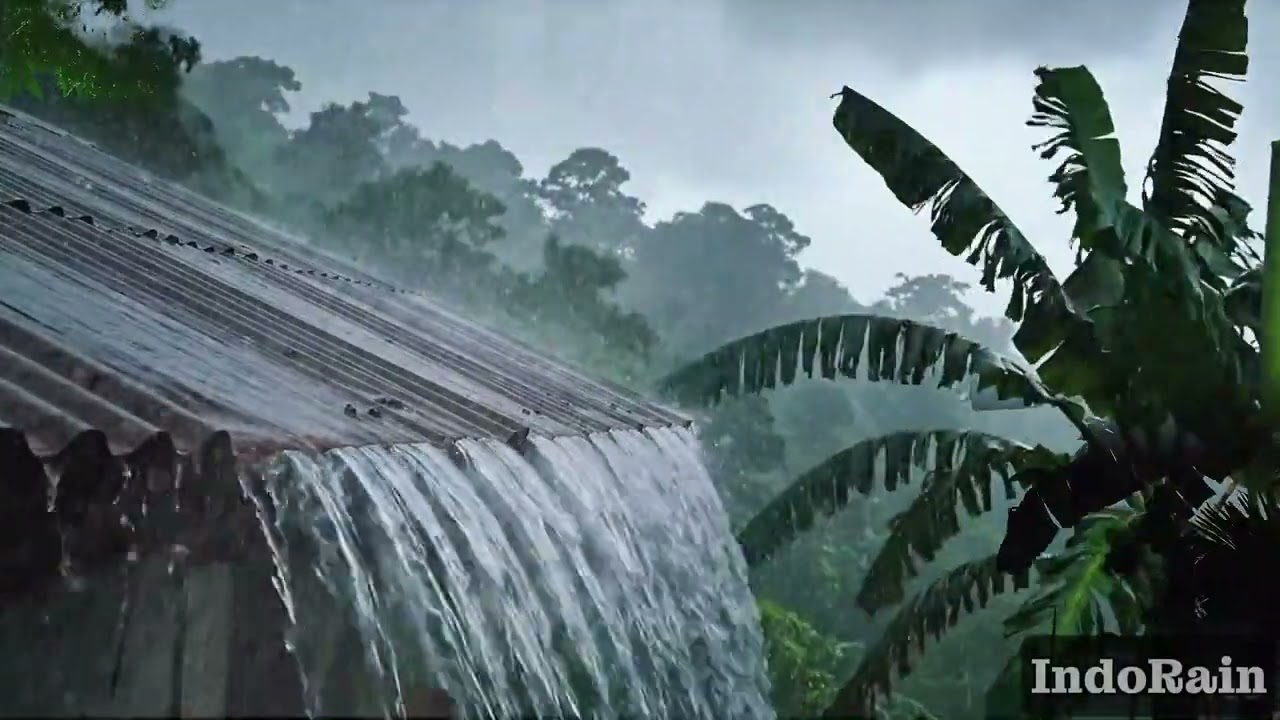 Rain Sounds For Sleeping - 99% Instantly Fall Asleep With Rain And Thunder Sound At Night, Rain