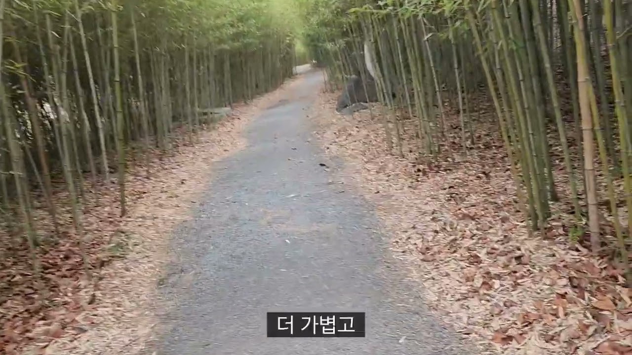 저출산과 대책 휴머노이드 로봇 모야는 마누라  모야 꺼저 쎄컨드 모야 꺼저 애견 모야 꺼저 