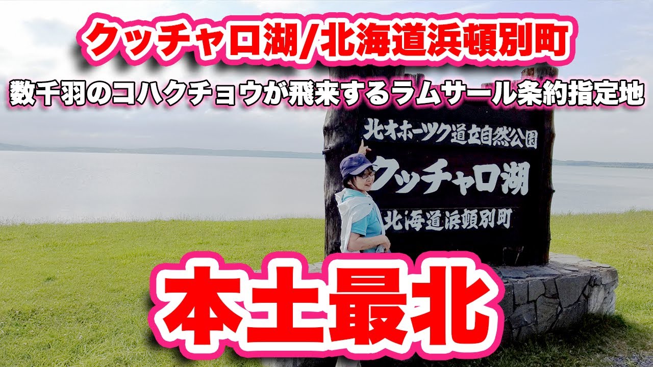 クッチャロ湖/北海道浜頓別町【本土最北の湖】数千羽のコハクチョウが飛来するラムサール条約指定地【旅行VLOG】水鳥観察館,ルピナス,キャンプ場,ラムサール条約,汽水湖,北オホーツク道立自然公園