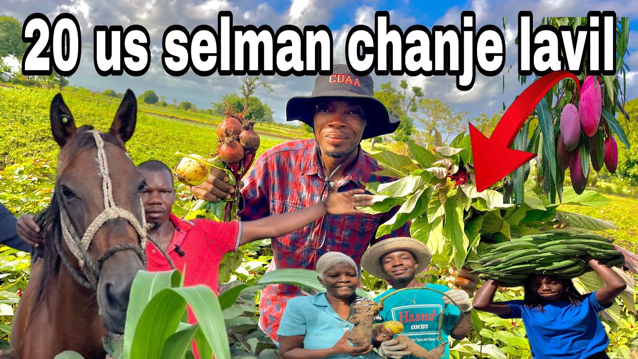 Vin gade kantite Richès Mwen fè avèk 20 dola yon diaspora te fèm kado aprè 2 ane men rezilta.