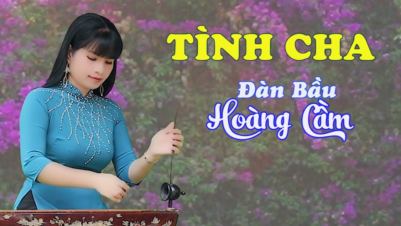 TÌNH CHA -  ĐÀN BẦU - HOÀNG CẦM