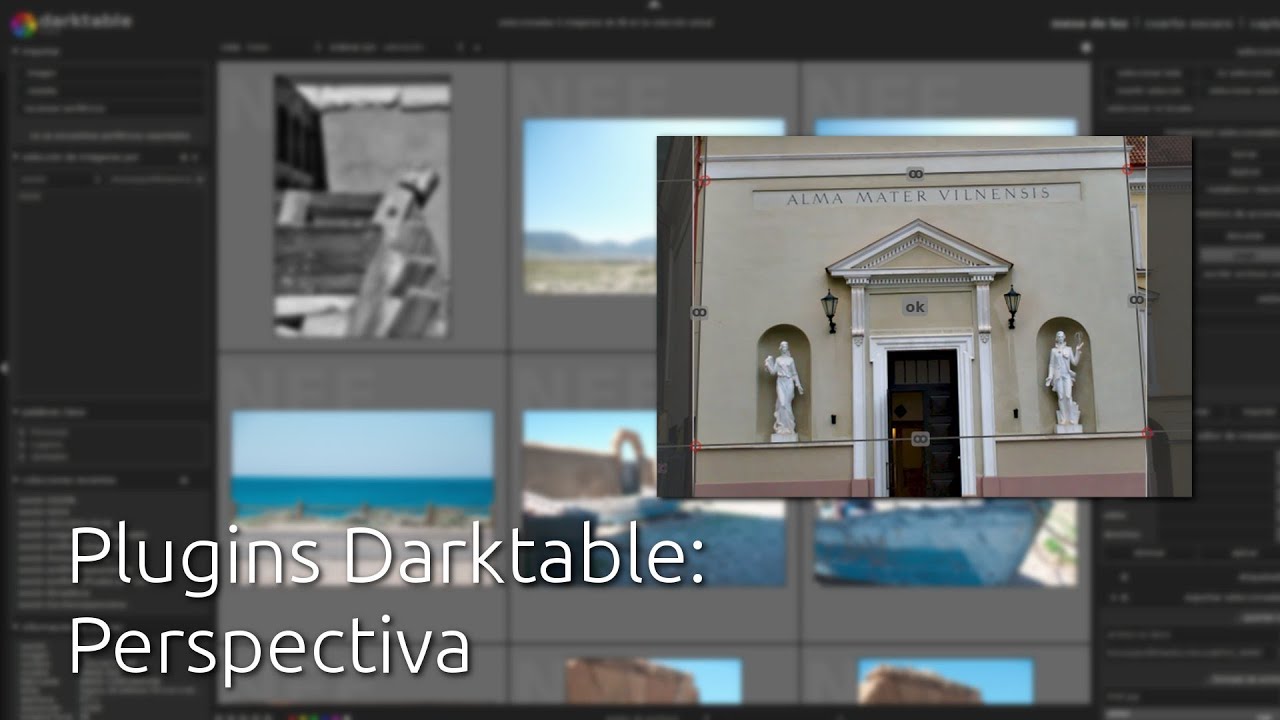 Plugins Darktable: Perspectiva
