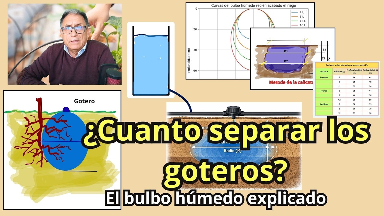 Riego por goteo 6: Cálculo de la separación entre goteros y porcentaje de suelo mojado. Bulbo húmedo