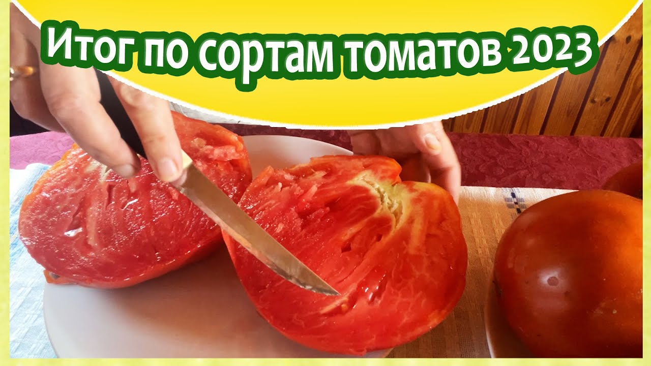Вспомним красоту сортовых томатов часть1  / Минская область Беларусь