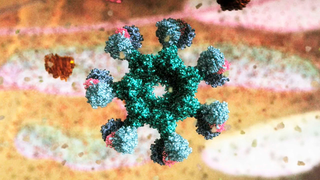 Apoptosis 4K (2006) by Drew Berry wehi.tv, sound design Franc Tétaz