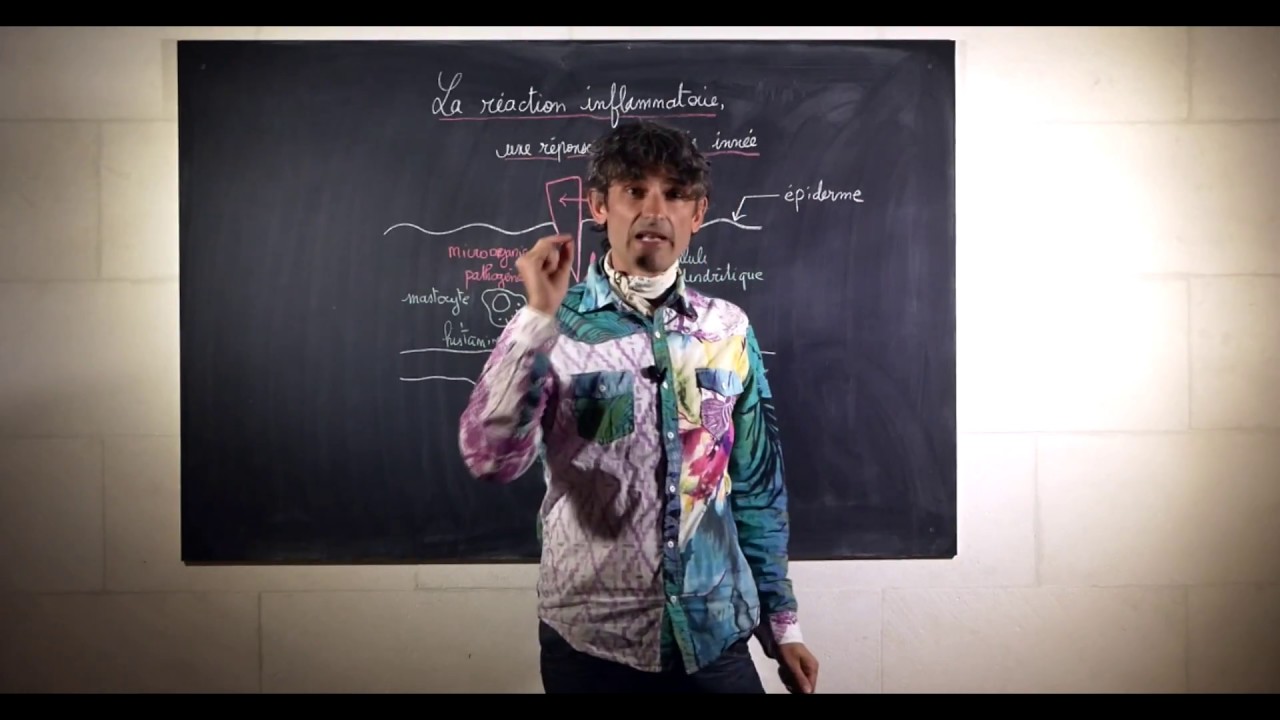 réaction inflammatoire