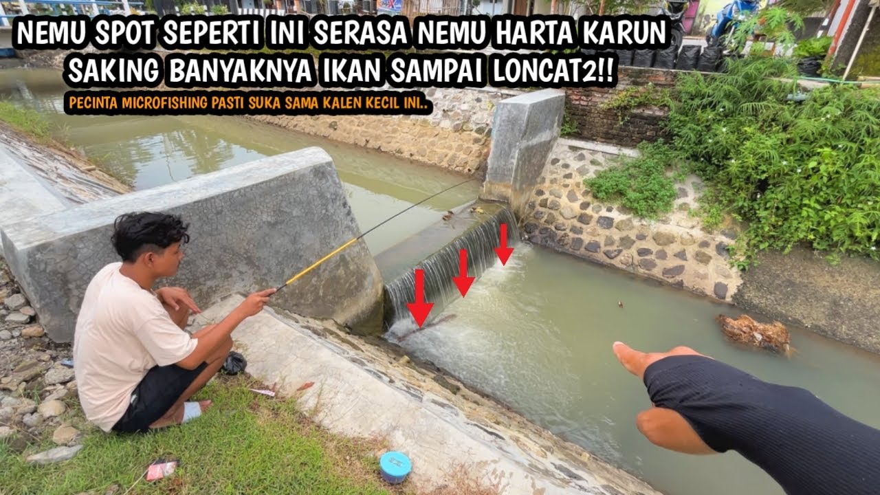 SAKING BANYAKNYA IKAN SAMPAI LONCAT LONCAT!! Mancing wader teknik kumbul umpan rasbora spot kalen