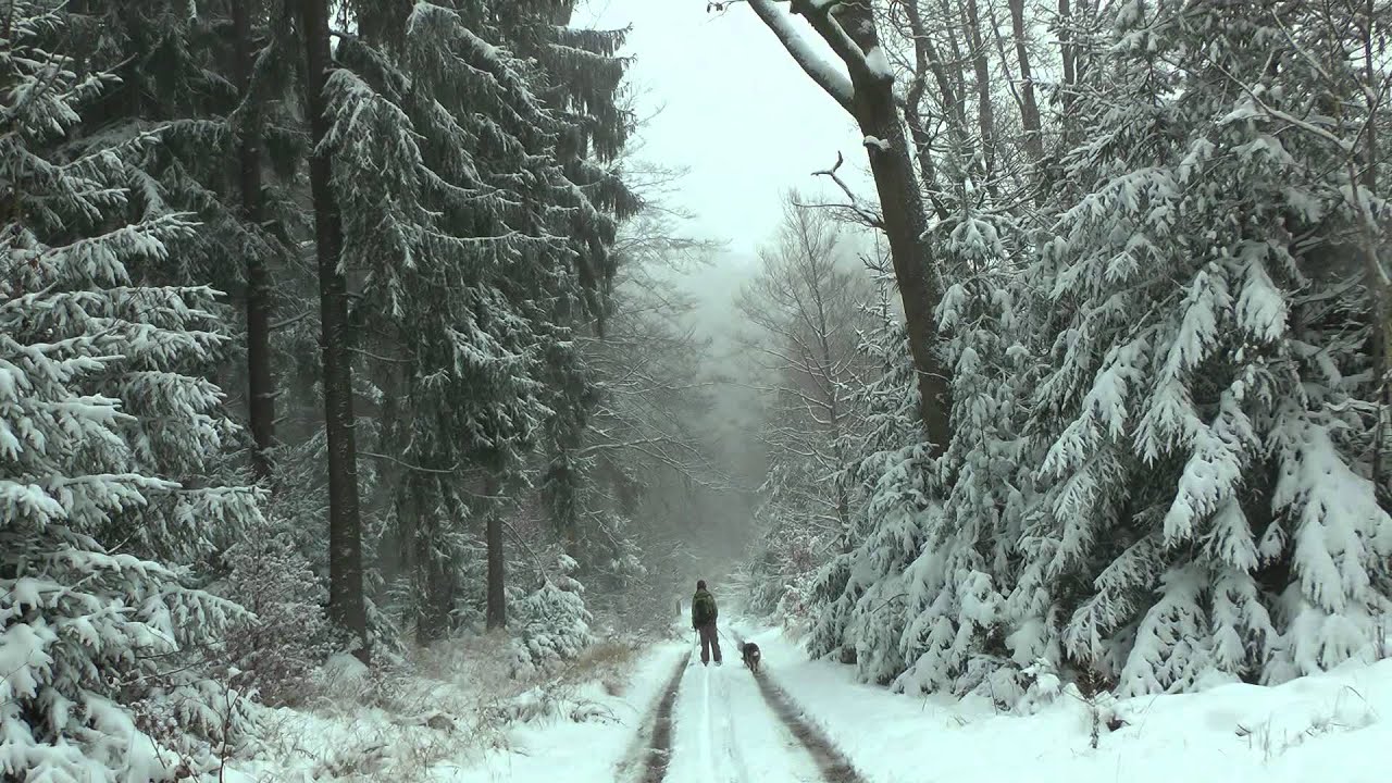Unterwegs im heimischen SPESSART - Skiwandern auf BIRKENHAINER Stra&szlig;e