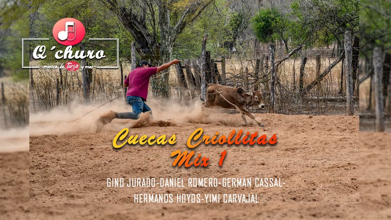 CUECAS CRIOLLITAS MIX 1
