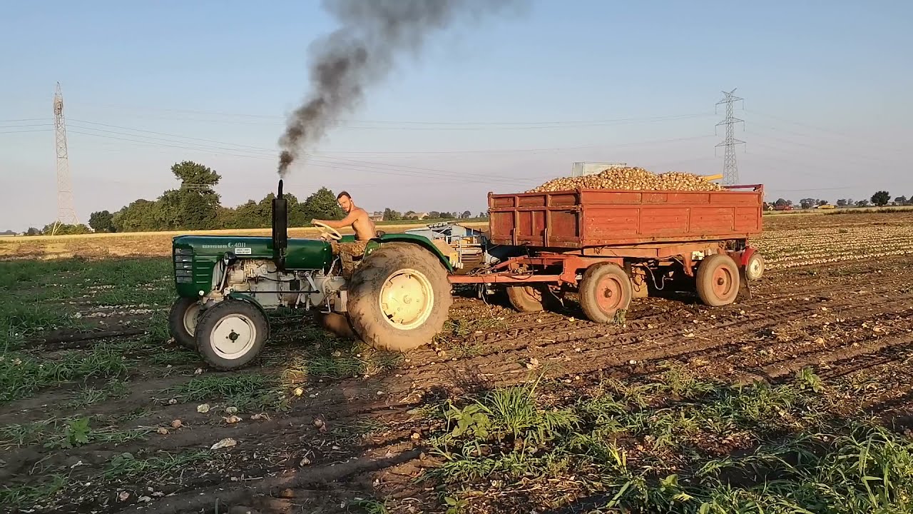 URSUS C-4011 kontra sześć ton cebuli/łogiń z rury prz&oacute;d do g&oacute;ry