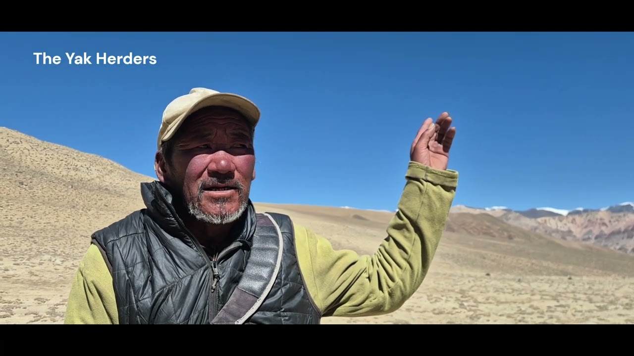 The Herders