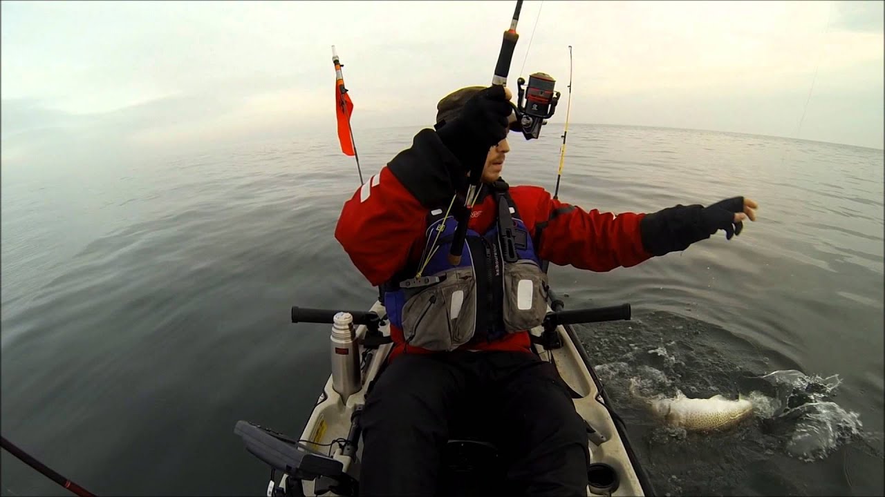Øresund Nytårs Torsken