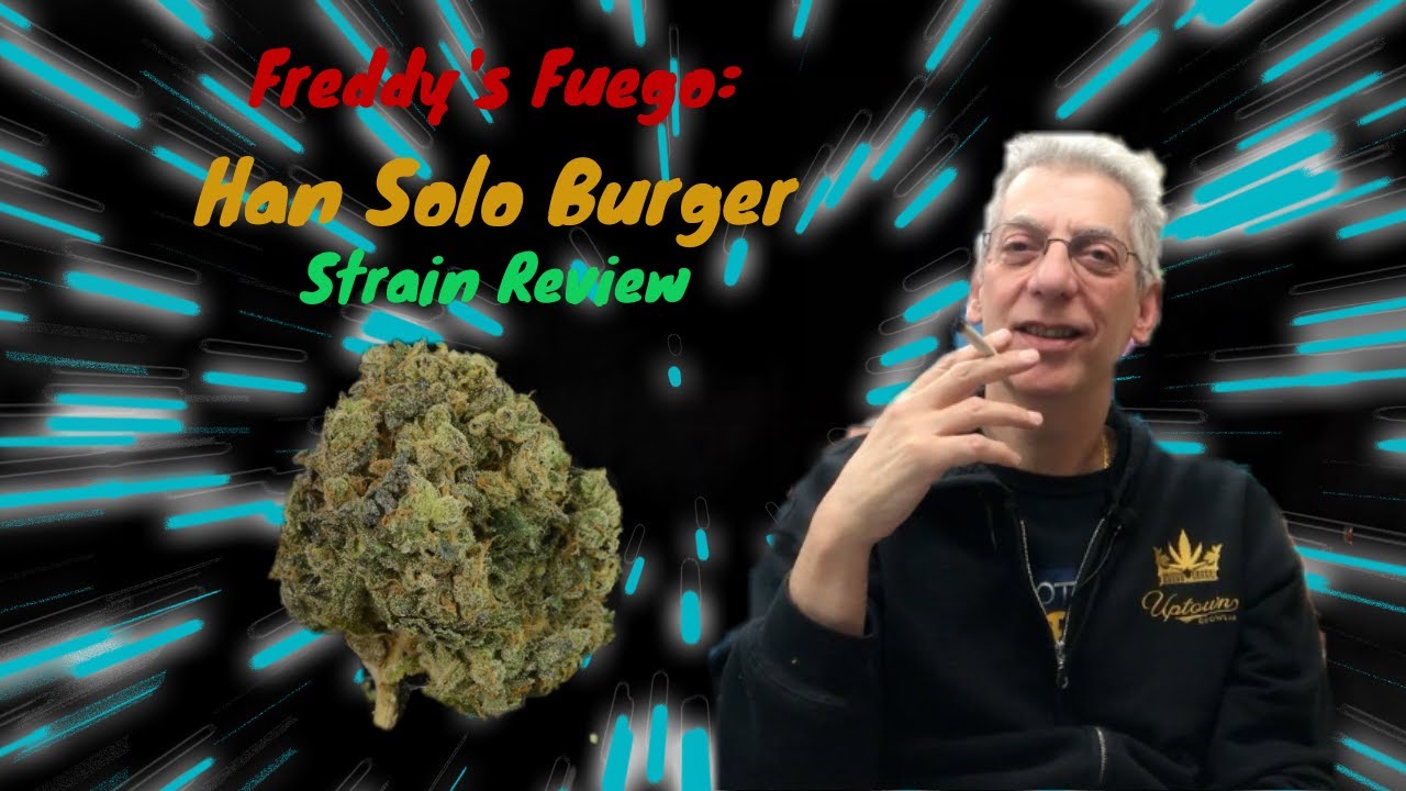 Han Solo Burger from Freddy's Fuego Cannabis Strain Review
