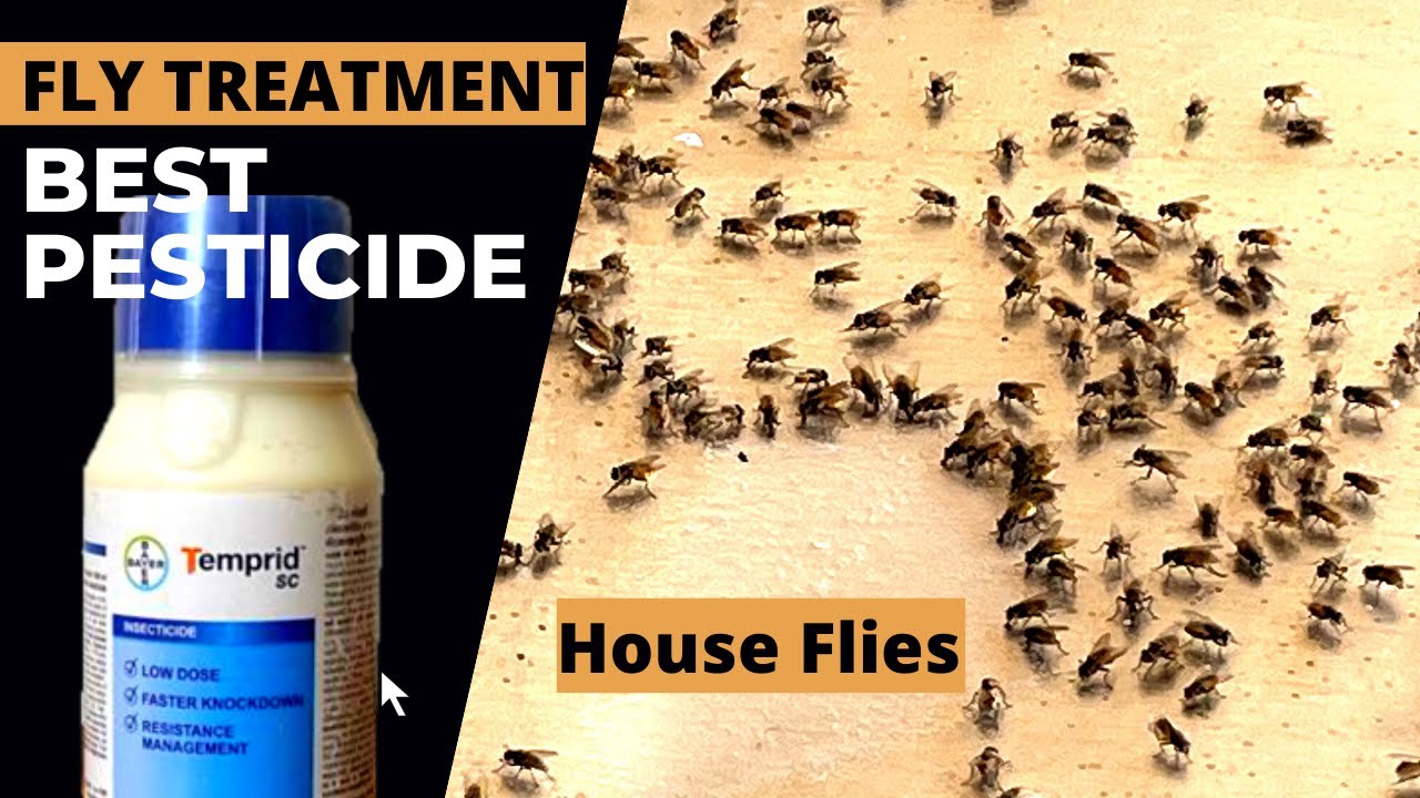 Best flies control chemical | Odorless flies control pesticide | How to get rid of flies | Temprid