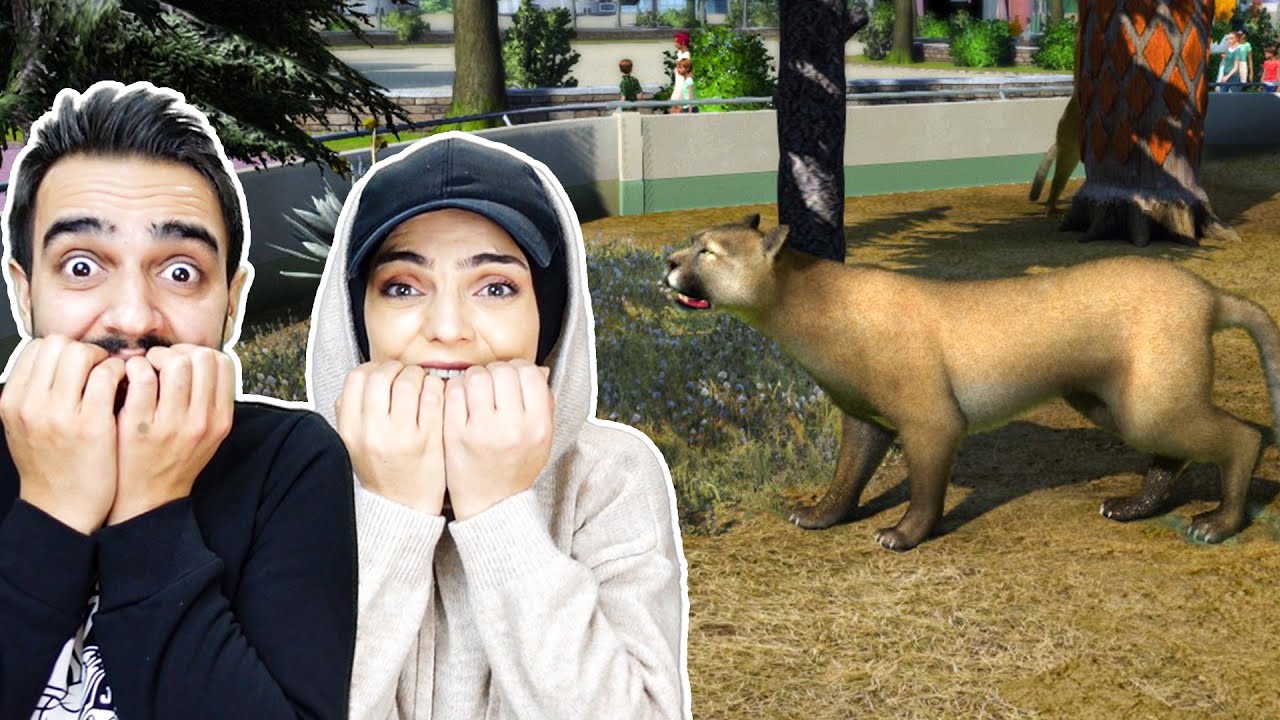 KÜÇÜK PUMA BÜYÜDÜ !! 😱 Zoo Tycoon