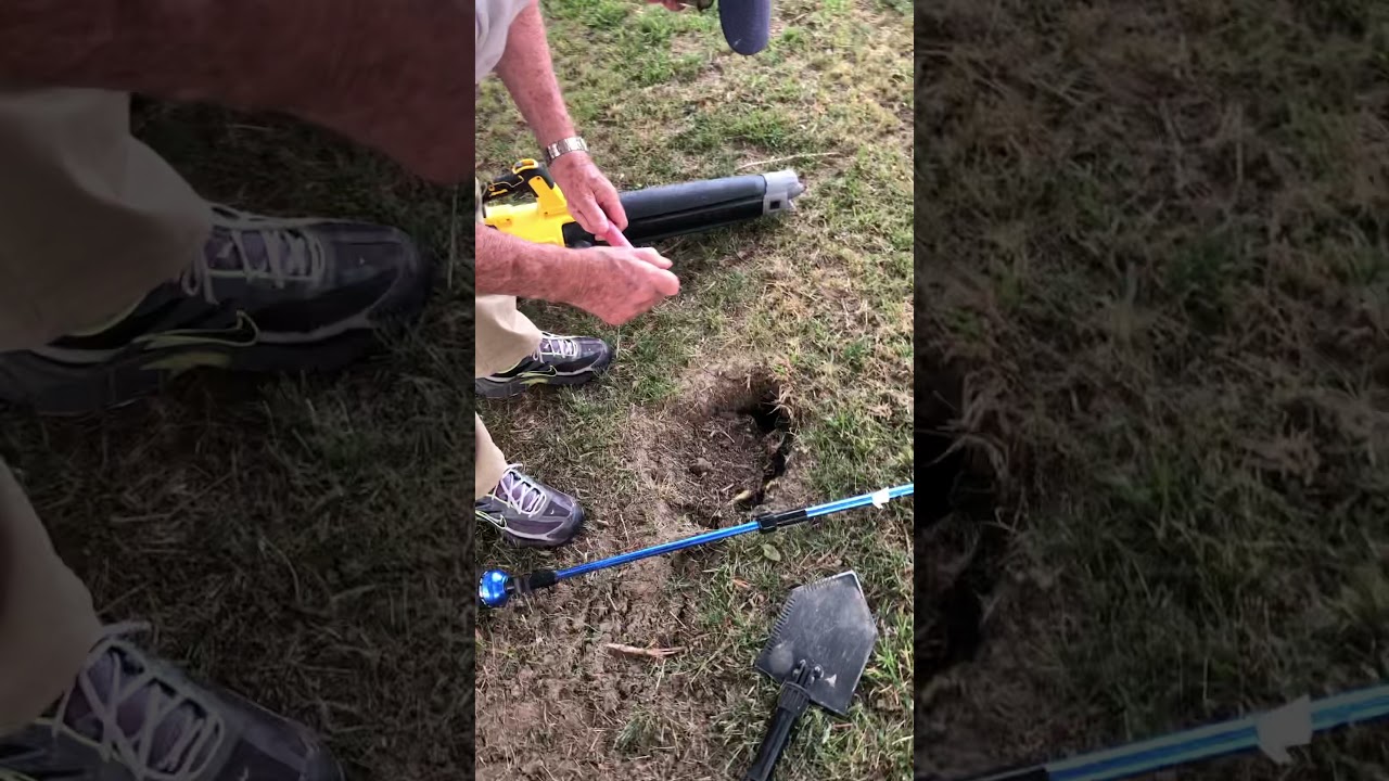 Richardson ground squirrel Eradication