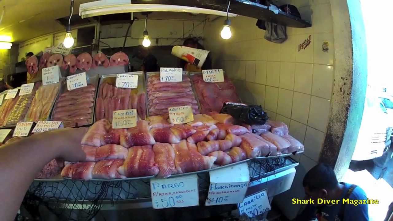 Sharks in a Fish Market - SDM Blog # 79