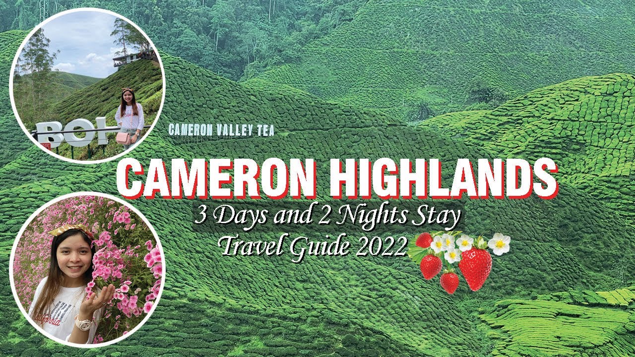 Our Trip in Cameron Highlands - 5 Best Places to Visit in Cameron Highlands Travel Guide | Malaysia