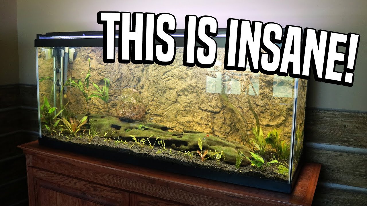 Aquarium 3D Background!!!!