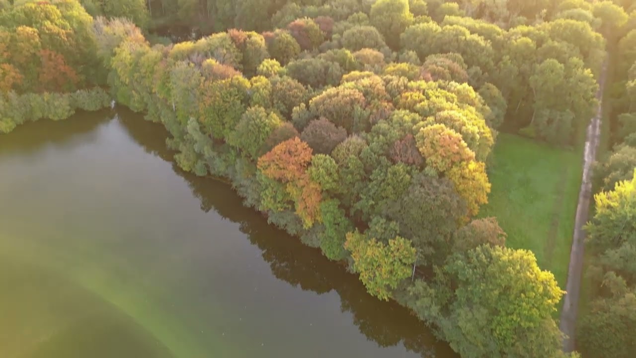 Zedelgem Dji mini 3 pro