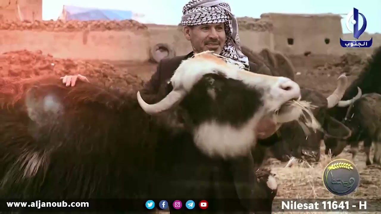 ديرتنا ||ميسان- قرية منطقة صدر الكريمة التابعة لناحية المشرح