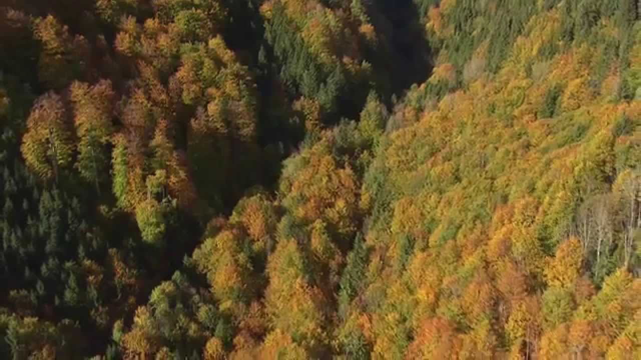 WILDES LAND Nationalpark Kalkalpen