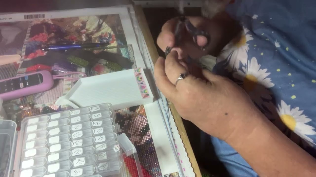 Kitting up the birds on fence diamond painting from Temu