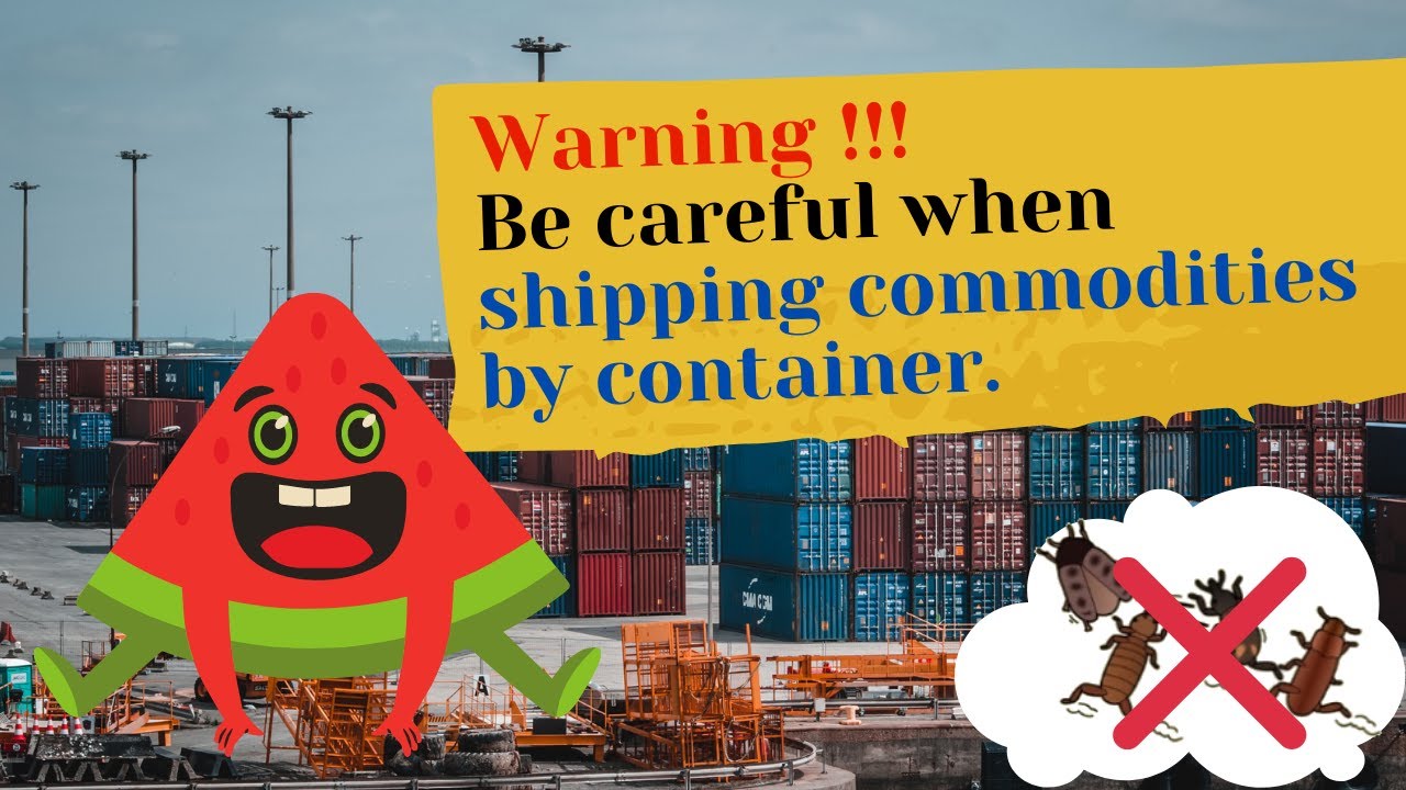 The safest way to ship grains with the container