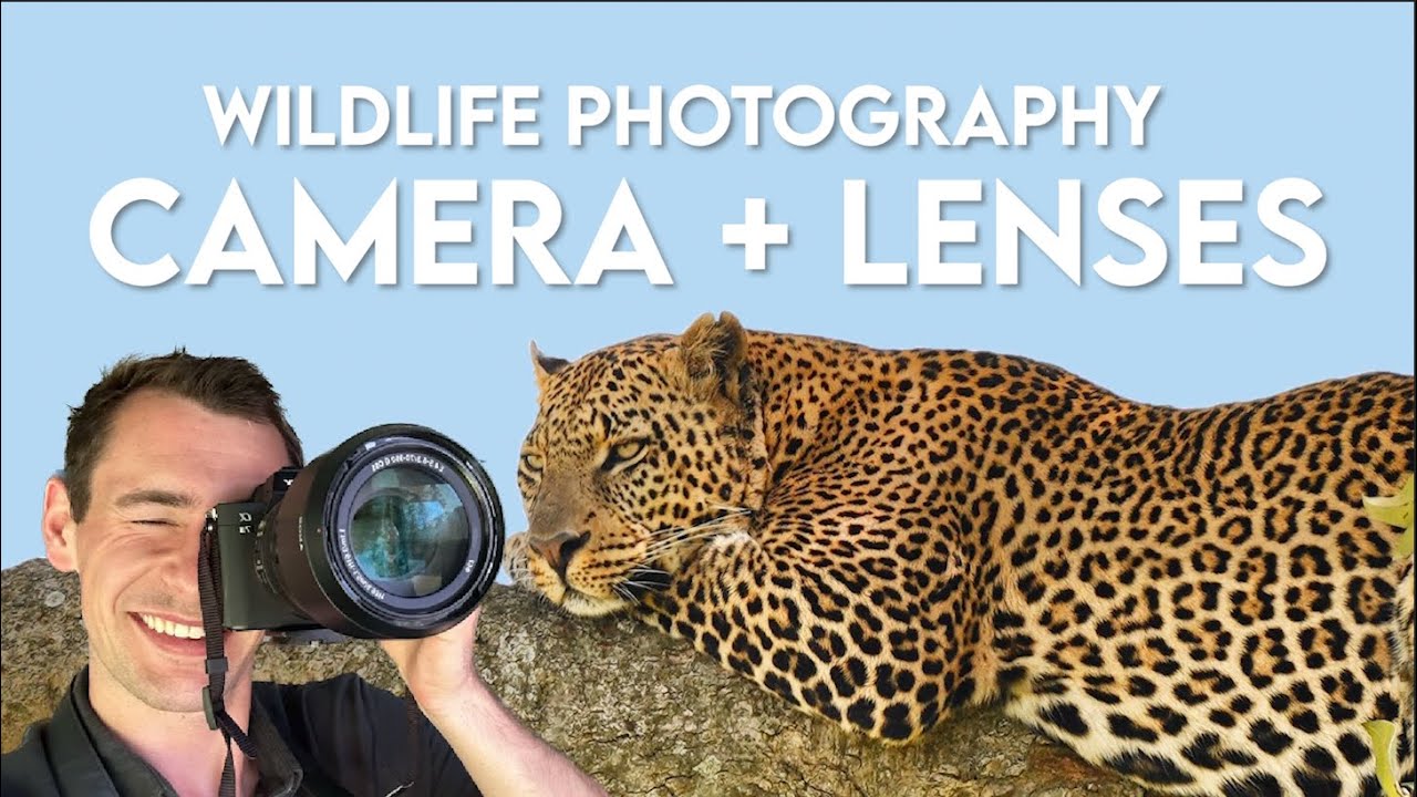 What Camera Do I Bring On Safari? My Camera Setup