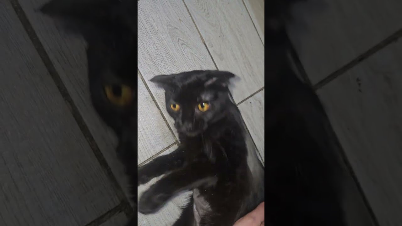 С первого укола есть улучшения 
