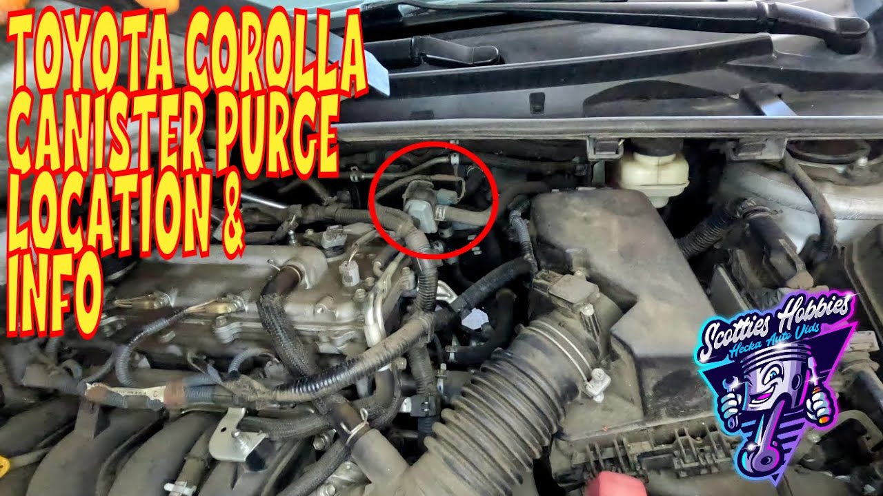 Toyota Corolla Vapor Canister Purge Valve Location & Common Error Codes, 2014-2016