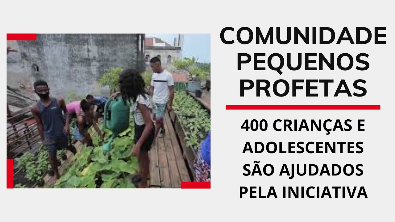 Comunidade PEQUENOS PROFETAS: A descoberta da voca&ccedil;&atilde;o do EMPREENDEDOR SOCIAL