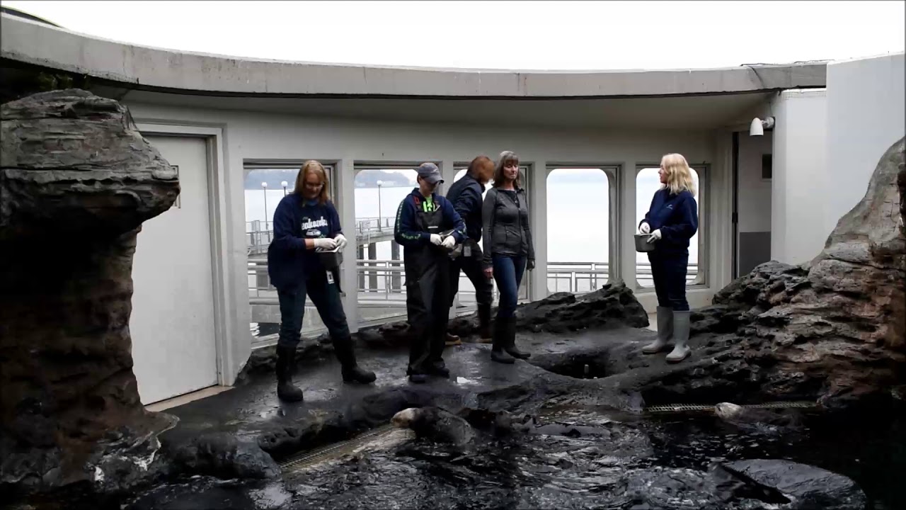 Seattle aquarium   behind the scenes Part 1